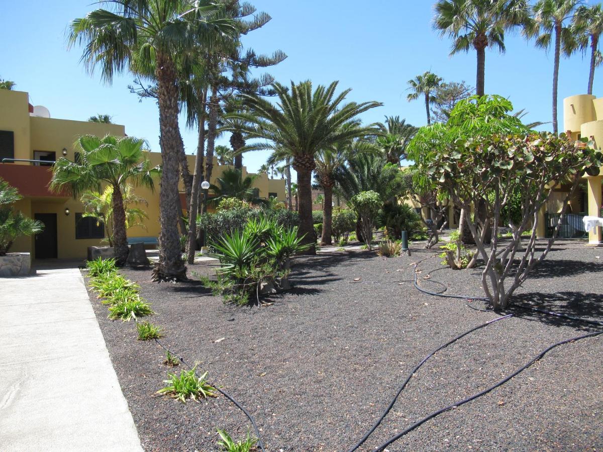Garden Relax Apartments, By Comfortable Luxury Corralejo Eksteriør billede